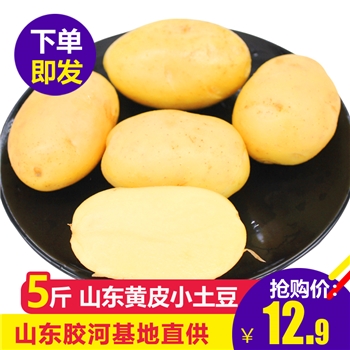 【5斤】新鲜土豆农家自种农产品新鲜迷你小土豆包邮蔬菜马铃薯【自营】