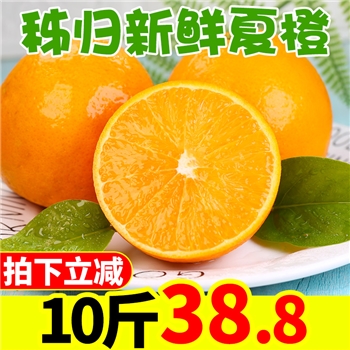 秭归夏橙橙子新鲜10斤带箱包邮当季水果伦晚脐橙手剥果冻橙冰糖橙【自营】